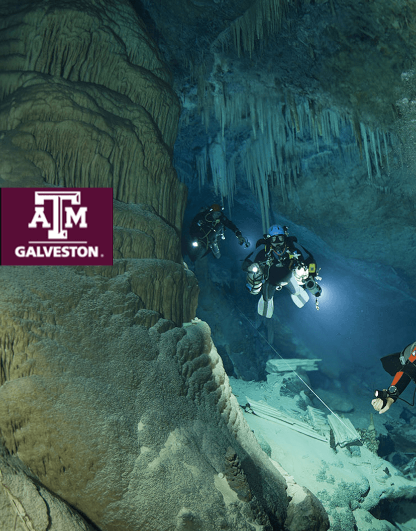 Texas A&M Galveston