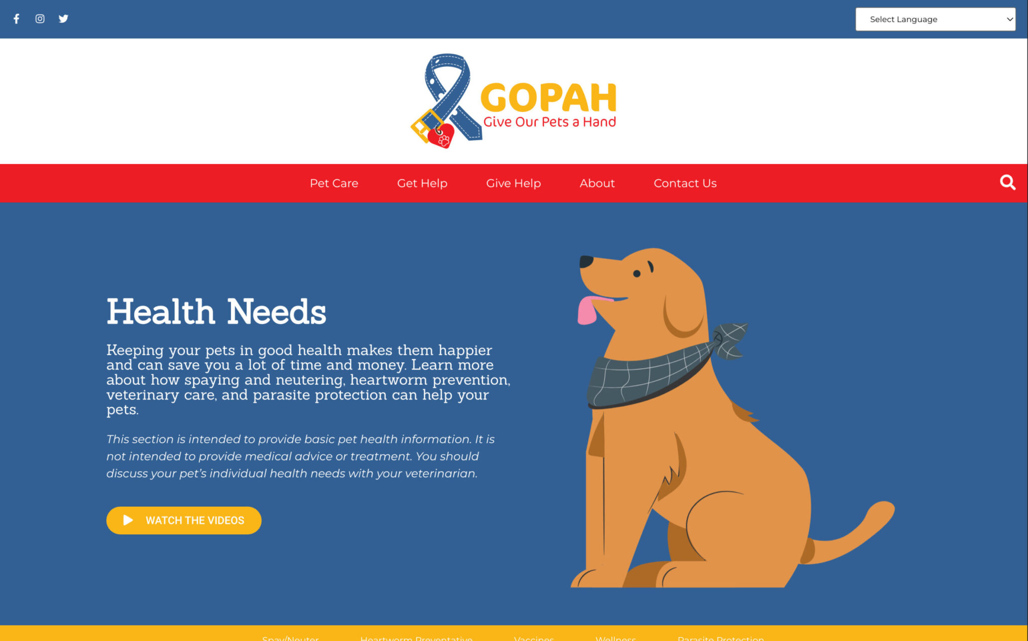 Give our pets a hand non profit website design